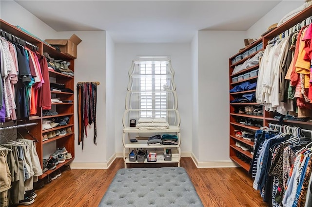 walk in closet featuring wood finished floors