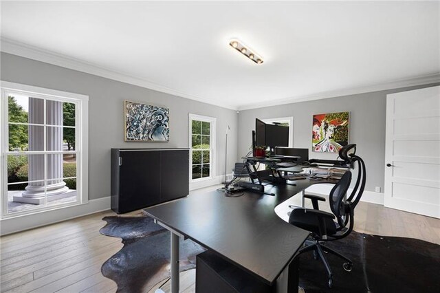 dining space featuring a wealth of natural light, crown molding, and hardwood / wood-style flooring