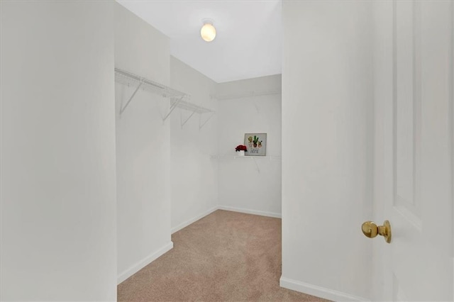 1795 Waterside Dr NW, Kennesaw, GA 30152 - walk in closet featuring light carpet
