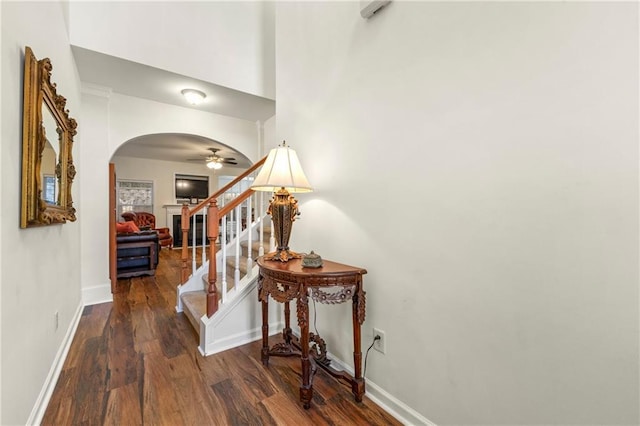 hall featuring dark hardwood / wood-style floors