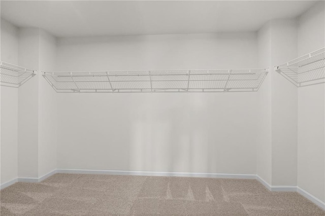 spacious closet with light colored carpet