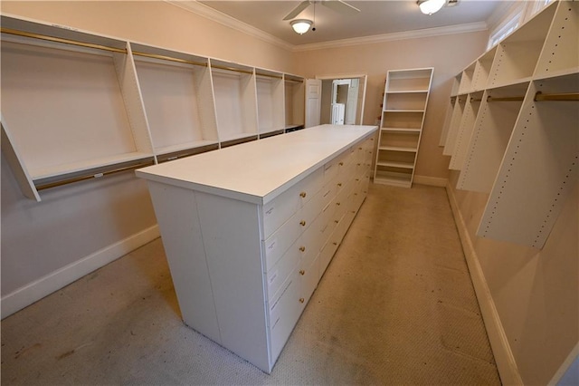 walk in closet with light carpet