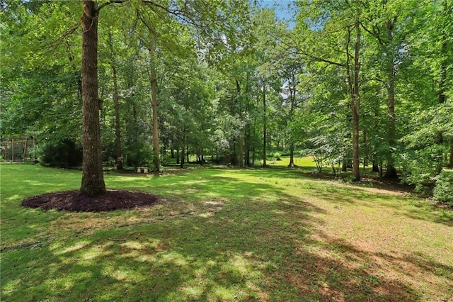 169 Robson Trl, Mcdonough, GA 30252 - view of grassy yard