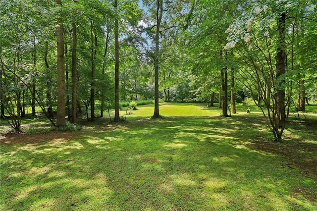 169 Robson Trl, Mcdonough, GA 30252 - view of green lawn