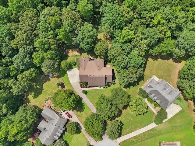 169 Robson Trl, Mcdonough, GA 30252 - aerial overview of property's location