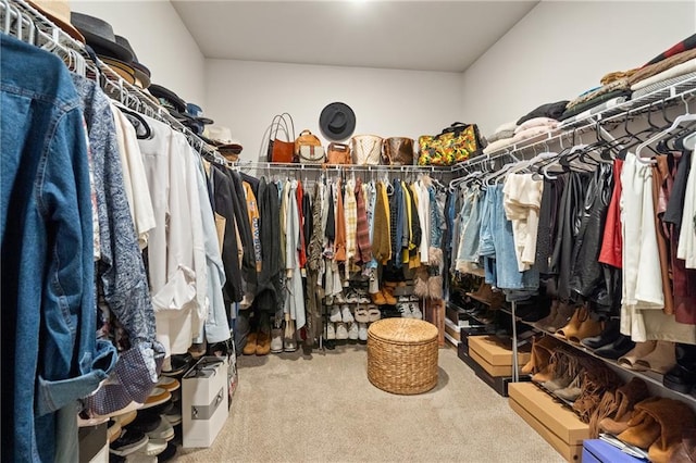 walk in closet with carpet flooring