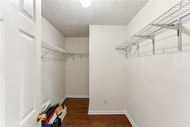 spacious closet featuring wood finished floors