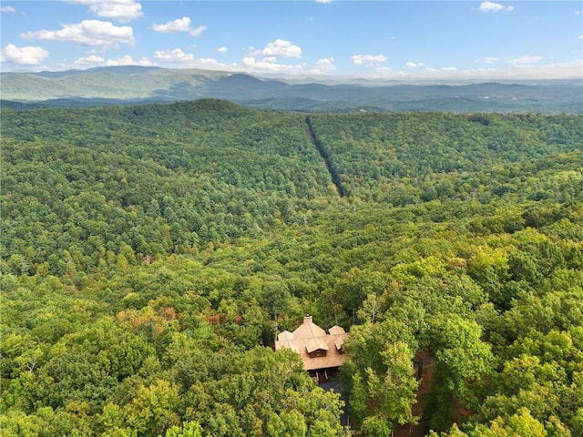 bird's eye view with a mountain view