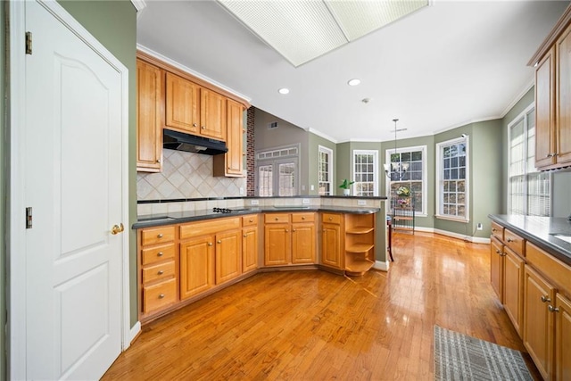 kitchen with crown molding, light wood-style flooring, backsplash, and under cabinet range hood