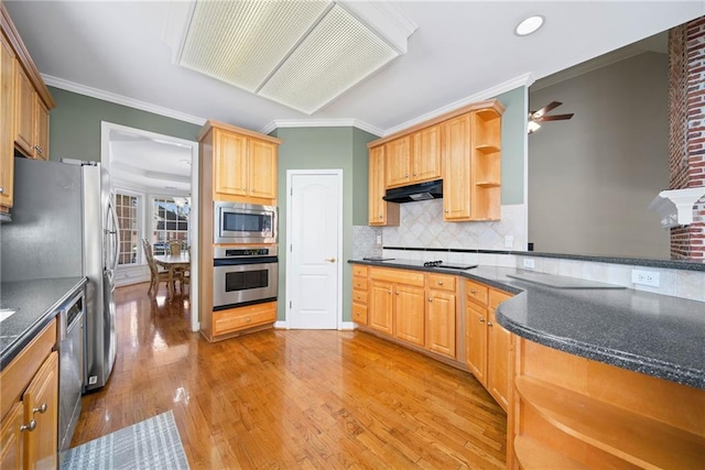 kitchen with ceiling fan, under cabinet range hood, light wood-type flooring, appliances with stainless steel finishes, and open shelves