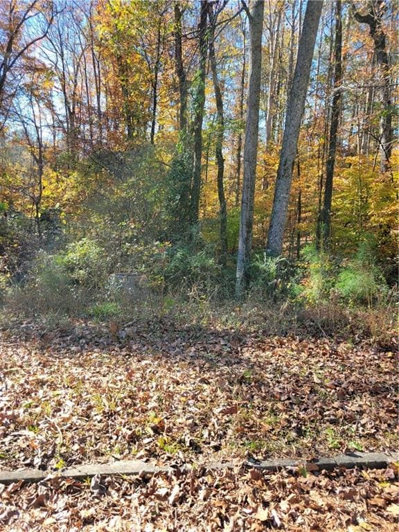 5008 Hidden Branch Dr, Sugar Hill GA, 30518 land for sale