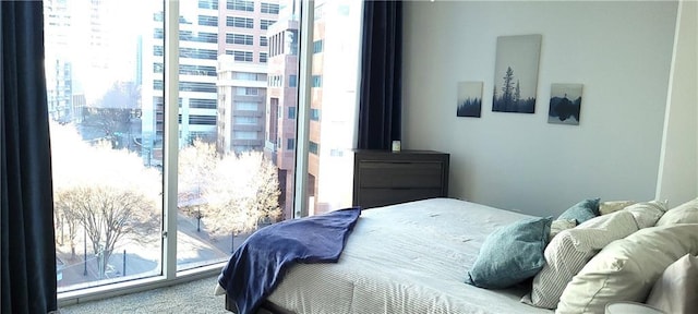 carpeted bedroom with a city view