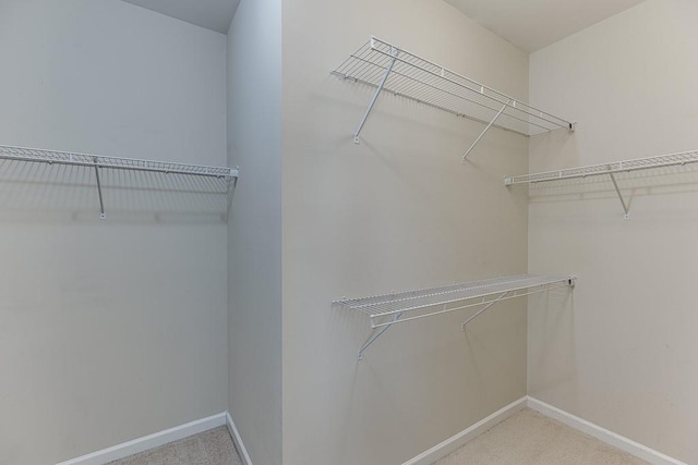 7719 Copper Kettle Way, Flowery Branch, GA 30542 - spacious closet with carpet