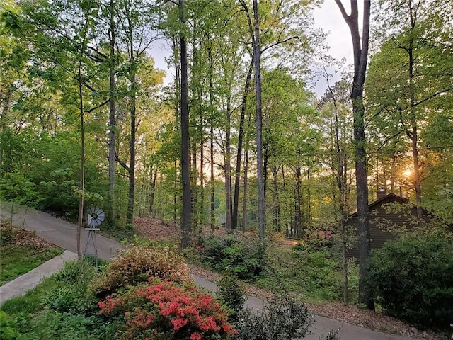 view of property's community with a view of trees