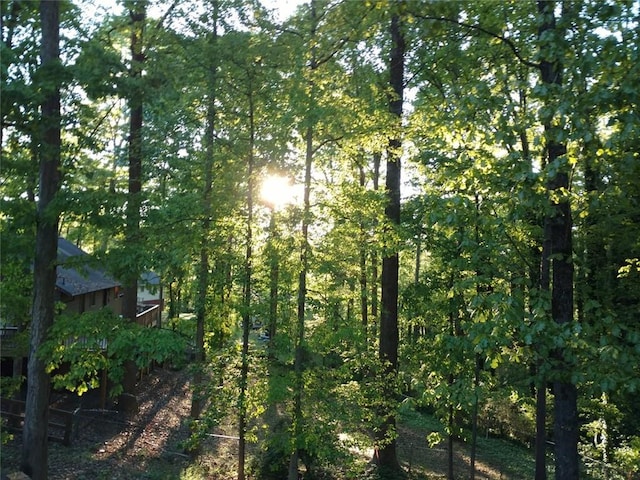 view of local wilderness