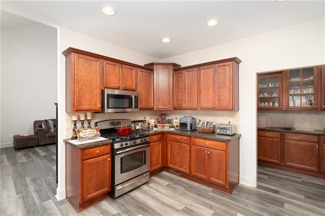 kitchen featuring backsplash, light hardwood / wood-style flooring, and appliances with stainless steel finishes