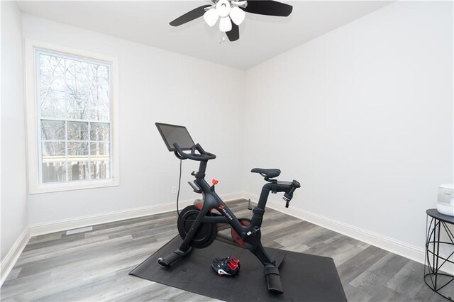 workout room featuring ceiling fan and hardwood / wood-style flooring