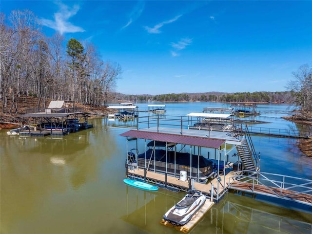 dock area with a water view
