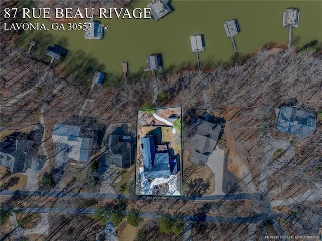 drone / aerial view