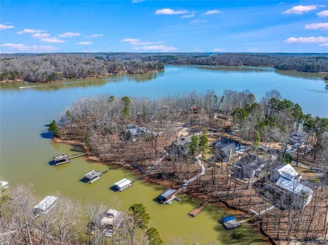 birds eye view of property featuring a water view and a forest view