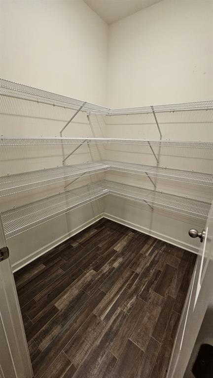 walk in closet with hardwood / wood-style floors