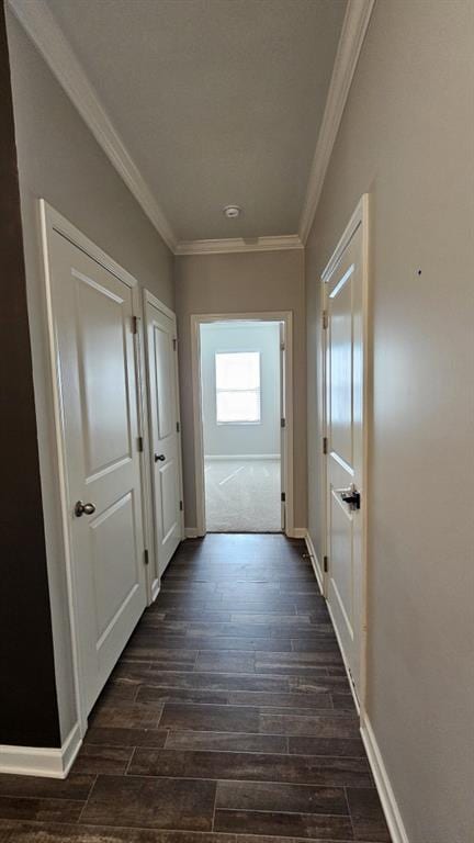 corridor with dark hardwood / wood-style flooring and ornamental molding