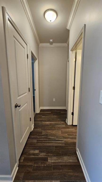 hall with crown molding and dark wood-type flooring