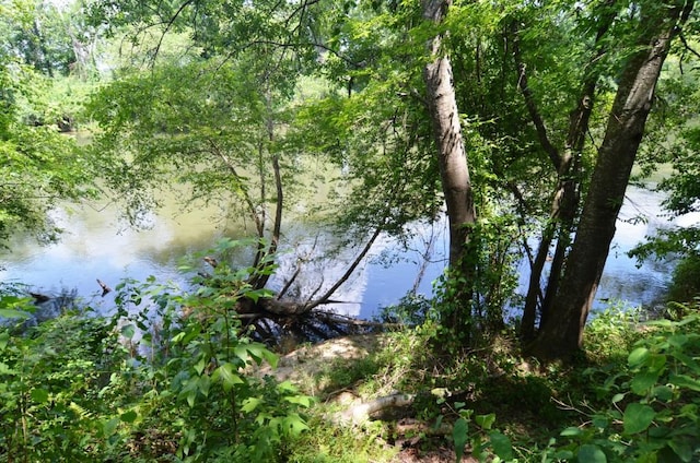 view of local wilderness with a water view