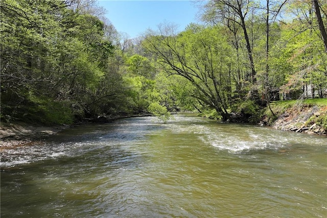property view of water with a forest view