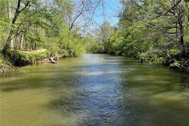 property view of water featuring a wooded view