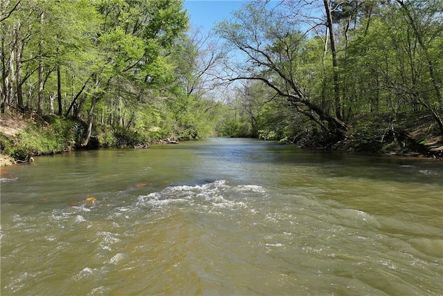 water view featuring a forest view