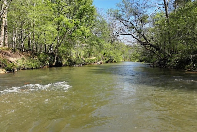 water view with a forest view