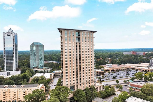 2881 Peachtree Rd NE Unit 1202, Atlanta, GA 30305 - view of city