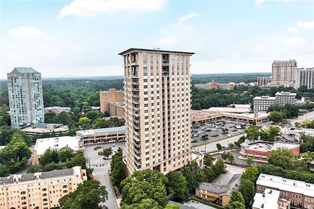 2881 Peachtree Rd NE Unit 1202, Atlanta, GA 30305 - city view