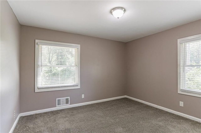 carpeted spare room with a wealth of natural light