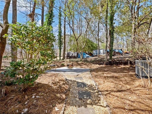 2466 Thrasher Rd, Buford, GA 30519 - view of yard with cooling unit