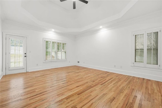 110 Glen Eagle Way, Mcdonough, GA 30253 - spare room with a tray ceiling, plenty of natural light, light wood-style floors, crown molding, and recessed lighting