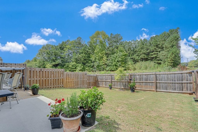 view of yard with a patio area