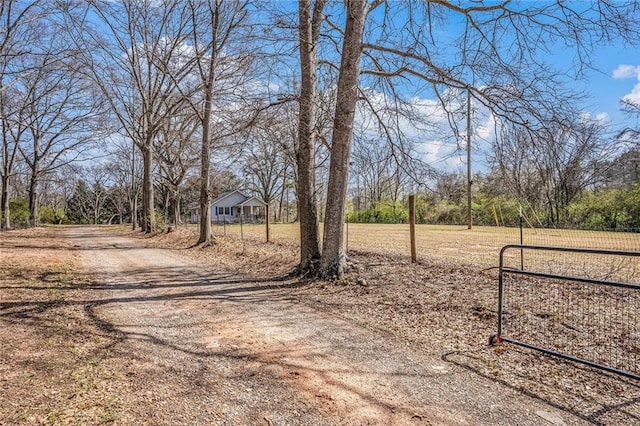 view of street with dirt driveway