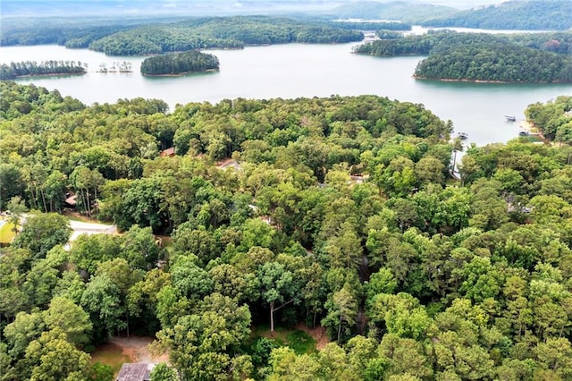 33 Yellow Hammer Dr SE, White, GA 30184