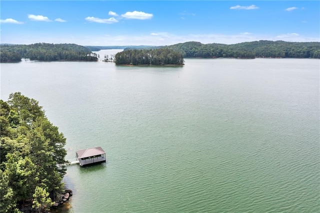 33 Yellow Hammer Dr SE, White, GA 30184