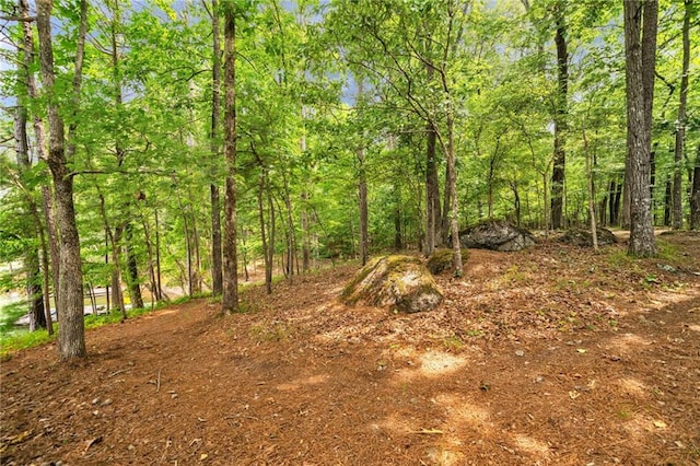 33 Yellow Hammer Dr SE, White, GA 30184