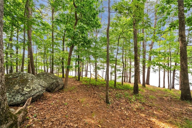 33 Yellow Hammer Dr SE, White, GA 30184