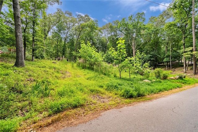 33 Yellow Hammer Dr SE, White, GA 30184