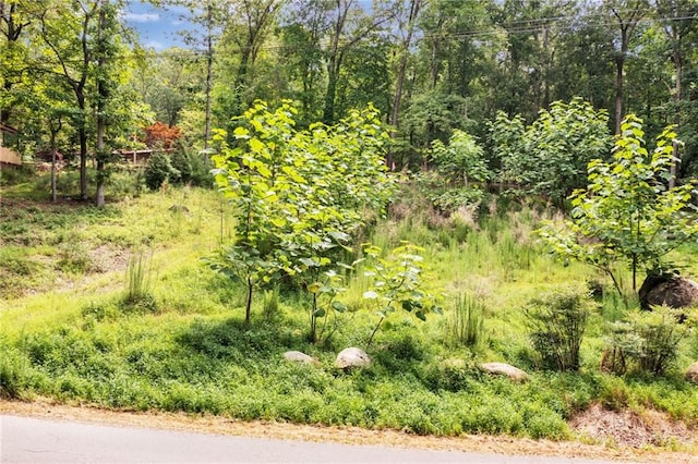 33 Yellow Hammer Dr SE, White, GA 30184