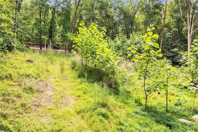 33 Yellow Hammer Dr SE, White, GA 30184