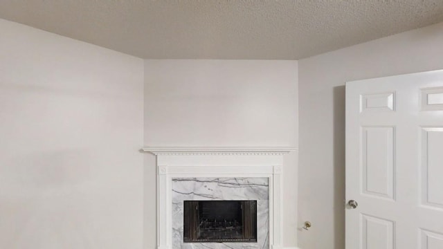 detailed view of a premium fireplace and a textured ceiling