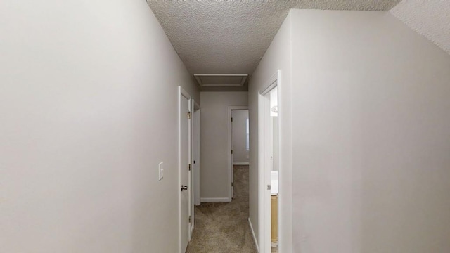 hallway featuring a textured ceiling, carpet, and baseboards
