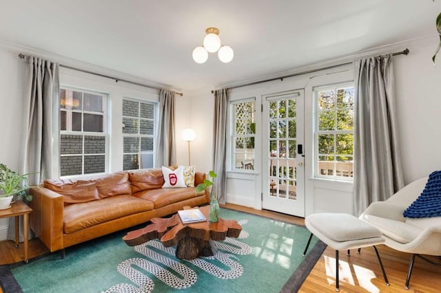 living room featuring hardwood / wood-style floors