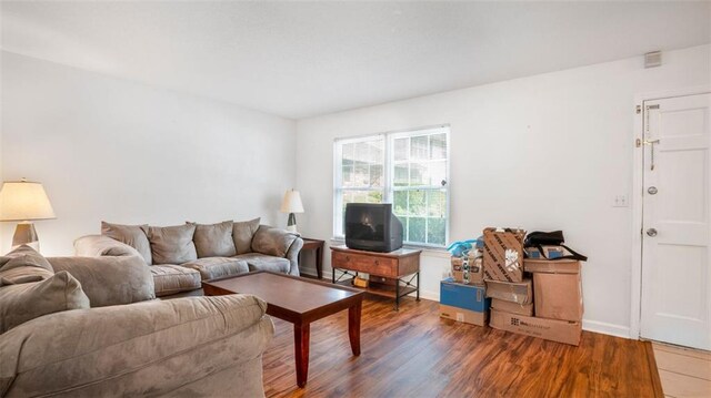 living room featuring dark wood-type flooring